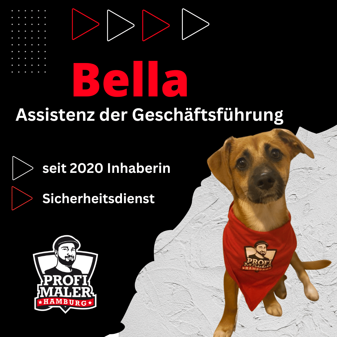 Mitarbeiter-Profil-Bella-1.png